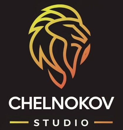 Chelnokov Web studio